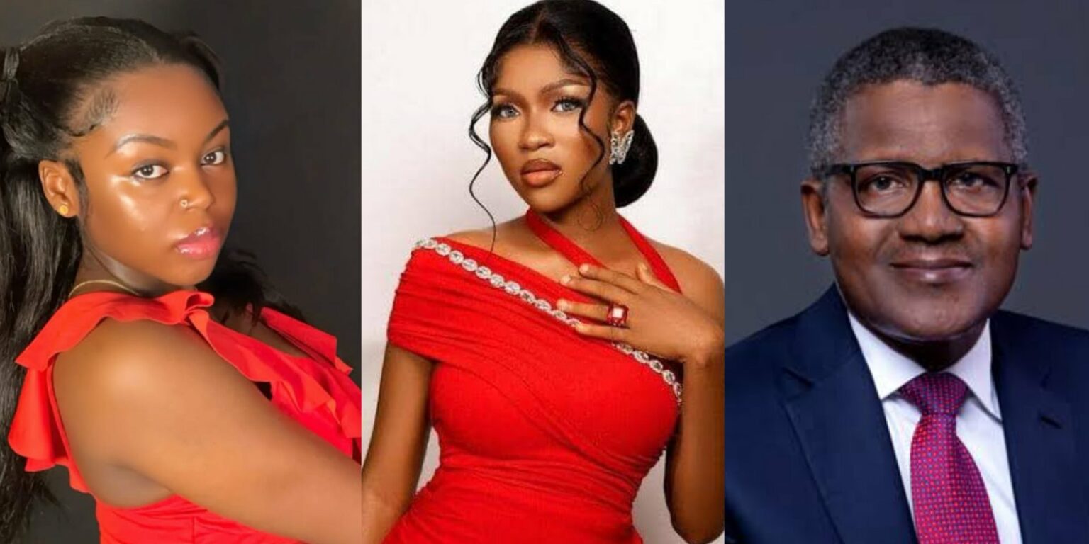 Saida Boj to Dangote: “The least you can do is to train Ruth’s children through school”