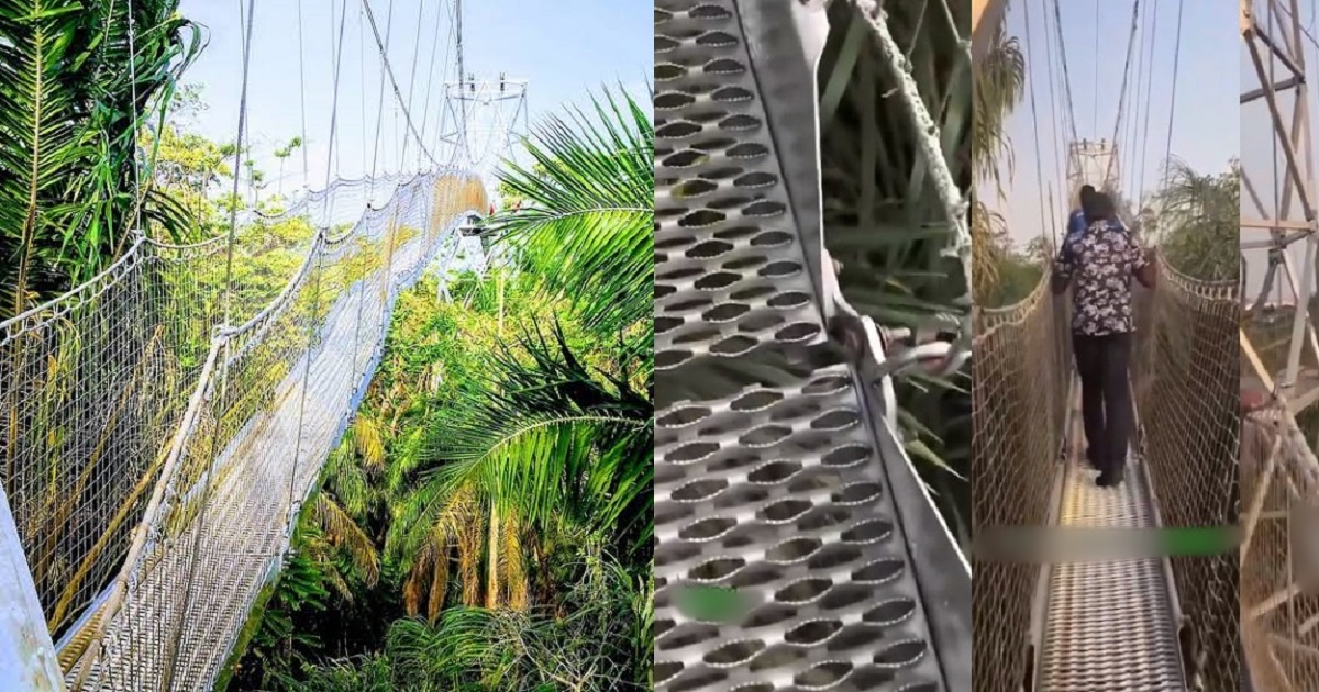 Lagos Government Shuts Down Lekki Conservation Centre Over Safety Concerns